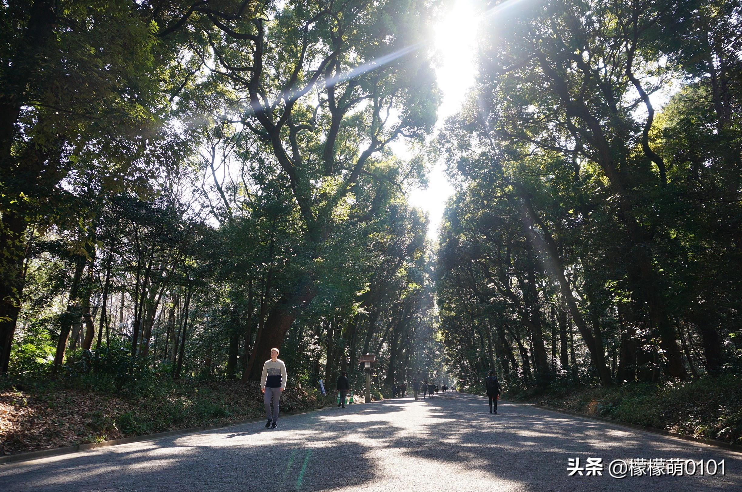 游玩东京攻略,玩转日本东京最全旅游攻略