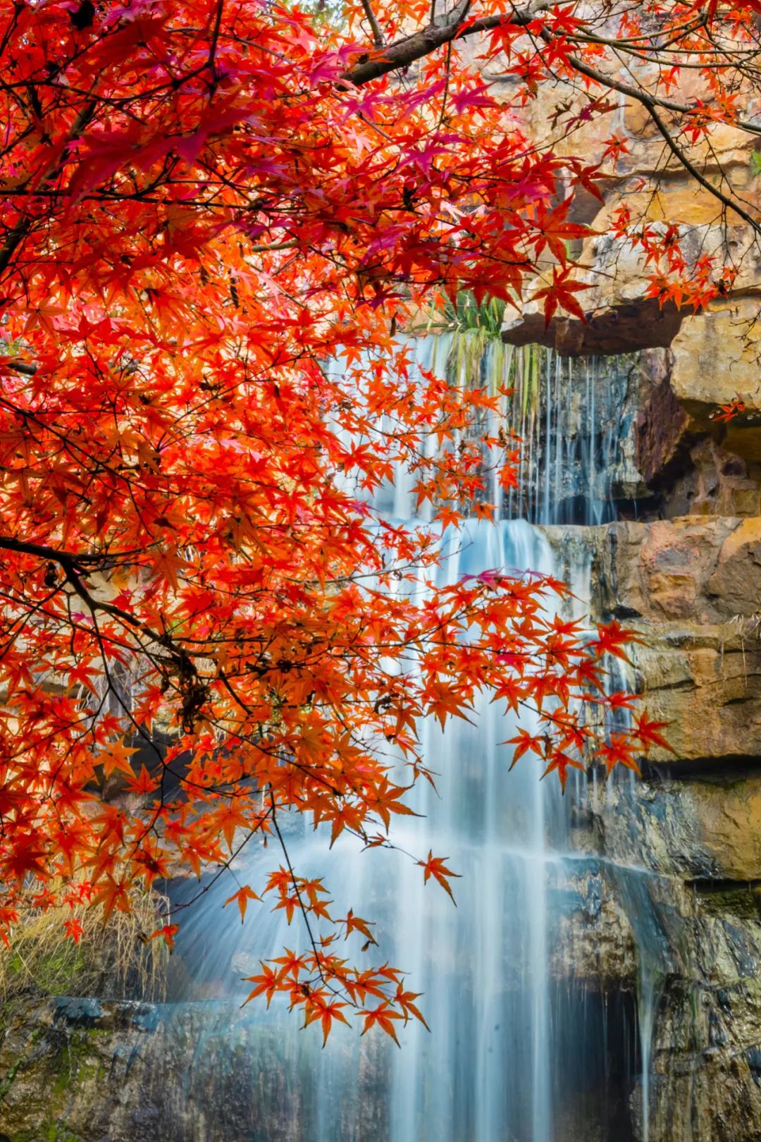 一听就惊艳的名字,你听过哪些惊艳的名字