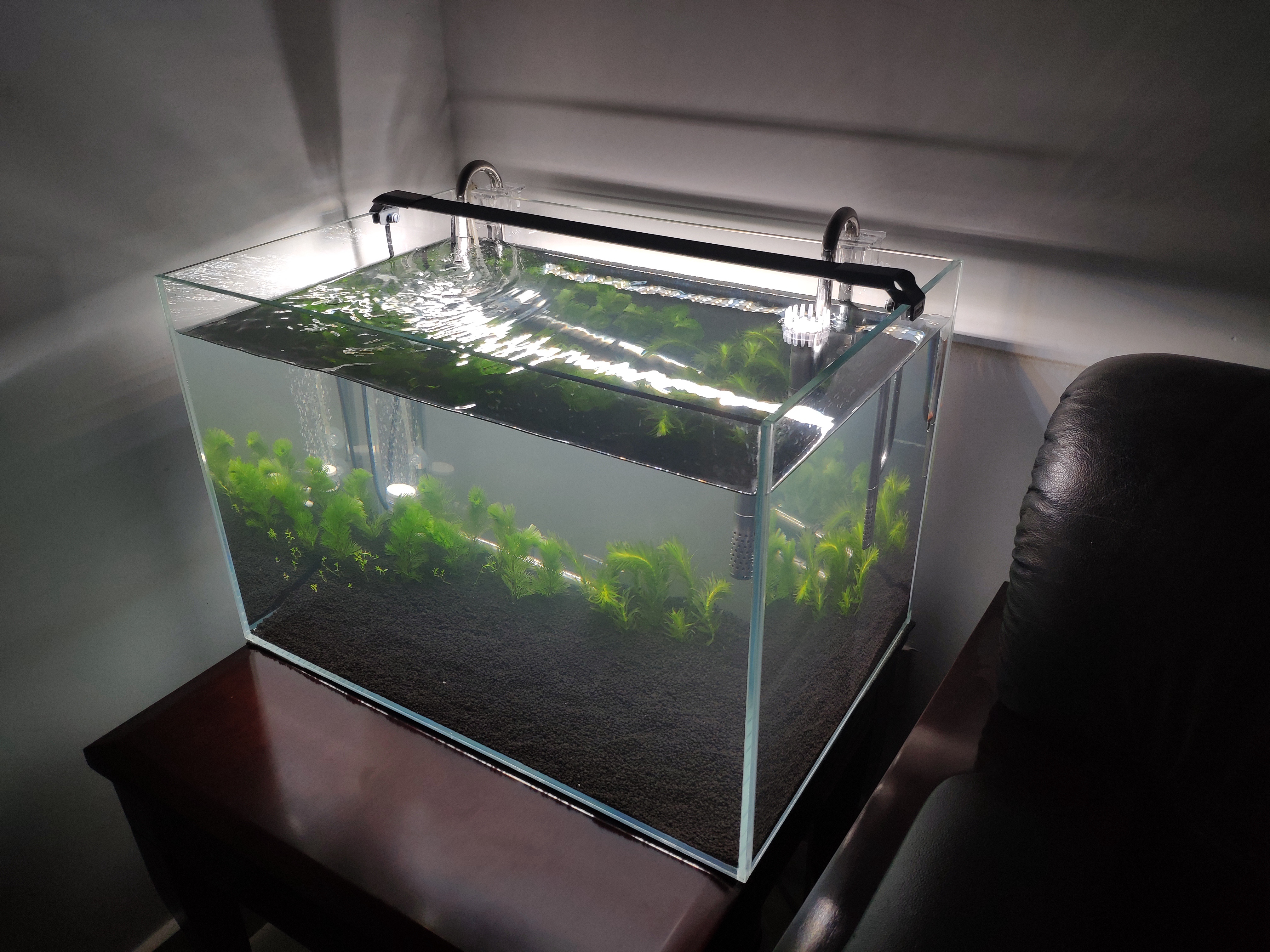 新手养鱼怎么入手？350元，开启养鱼之旅，新手小白开缸记