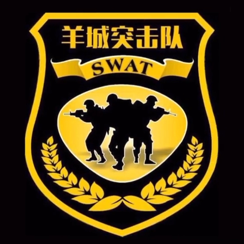 全国各个城市特警队臂章,公安特警帅图