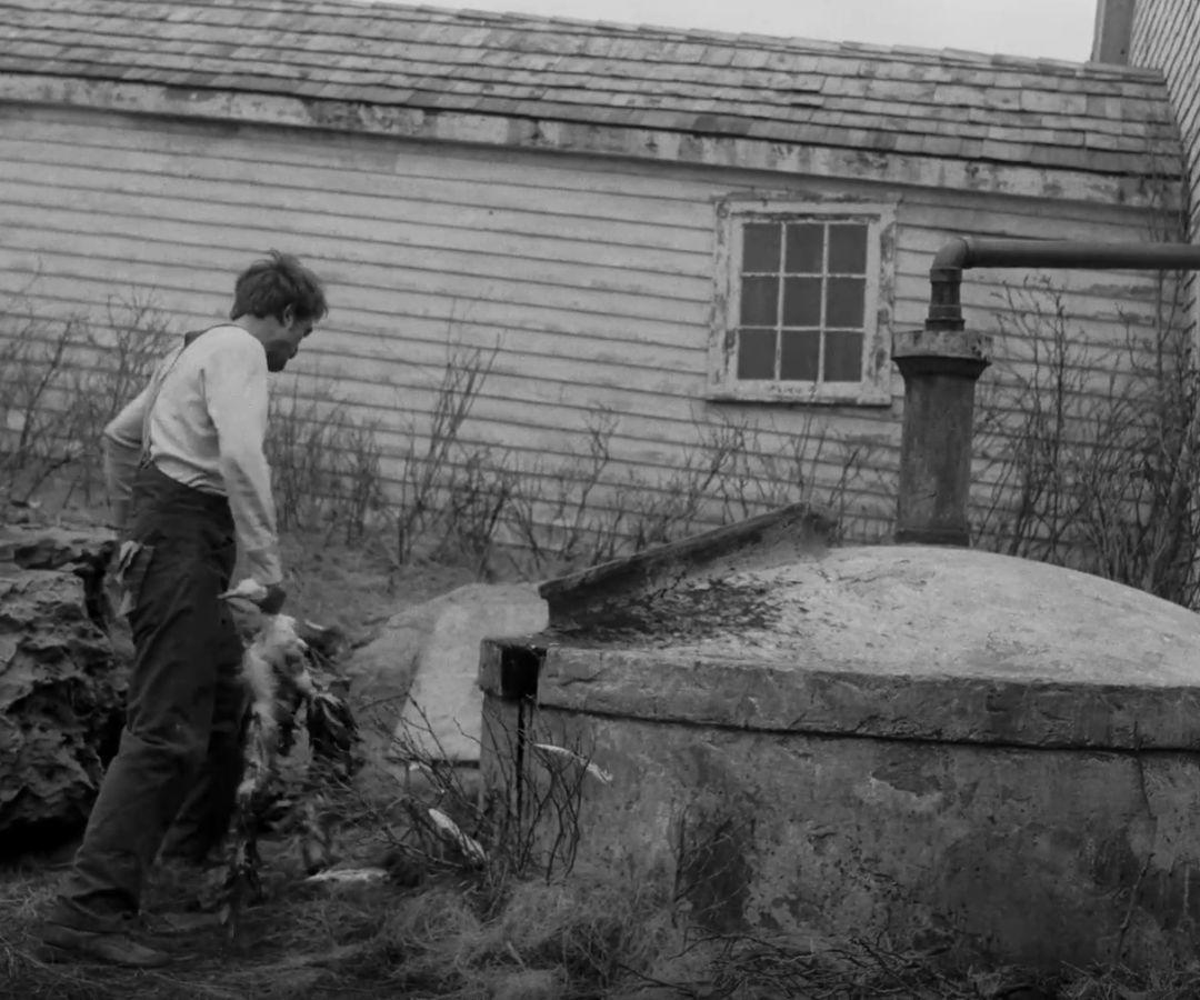 老拍床戏的暮光男，这次连美人鱼都不放过