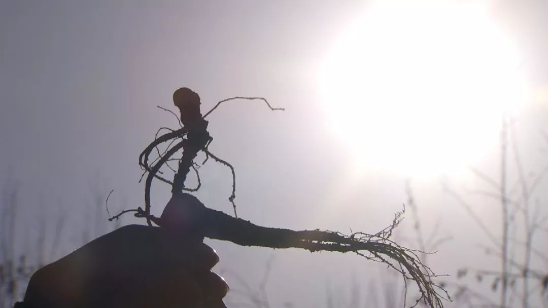 他用9年颠覆一个行业模式，获得千万财富的背后竟是因为花样折腾