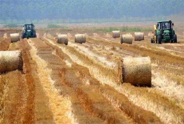 2020清远农业补贴一览表,农村老干部补贴新政策2020