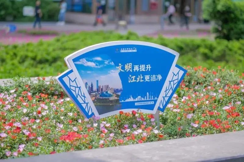 为什么热衷于创文,为什么创文