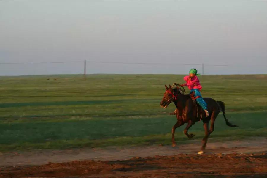 在内蒙古家里没几匹马和骆驼都不能愉快地玩耍了！