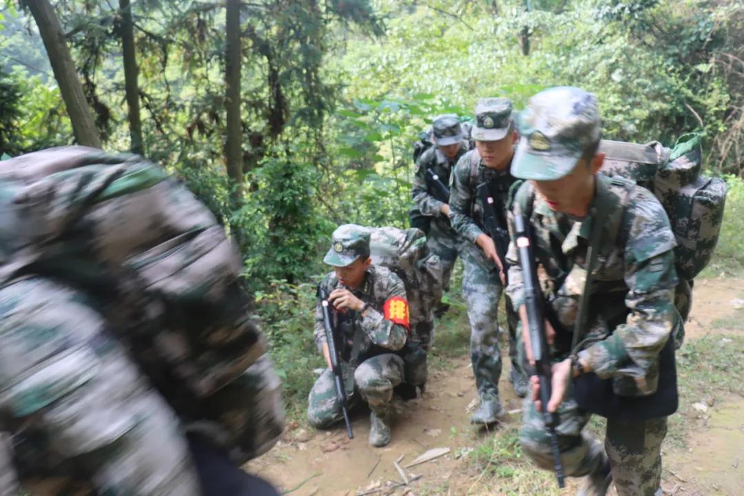 福建省军区民兵演习,战区部队的军事演练