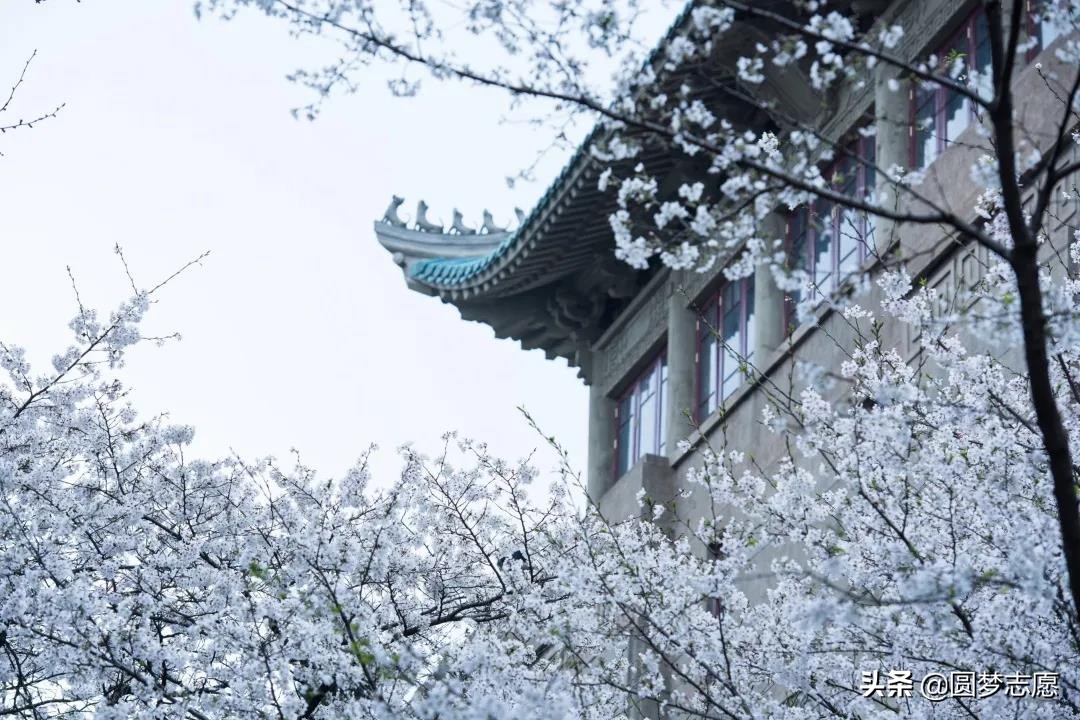 国家认可的民办二本大学排名权威,国内公认度高的民办二本大学