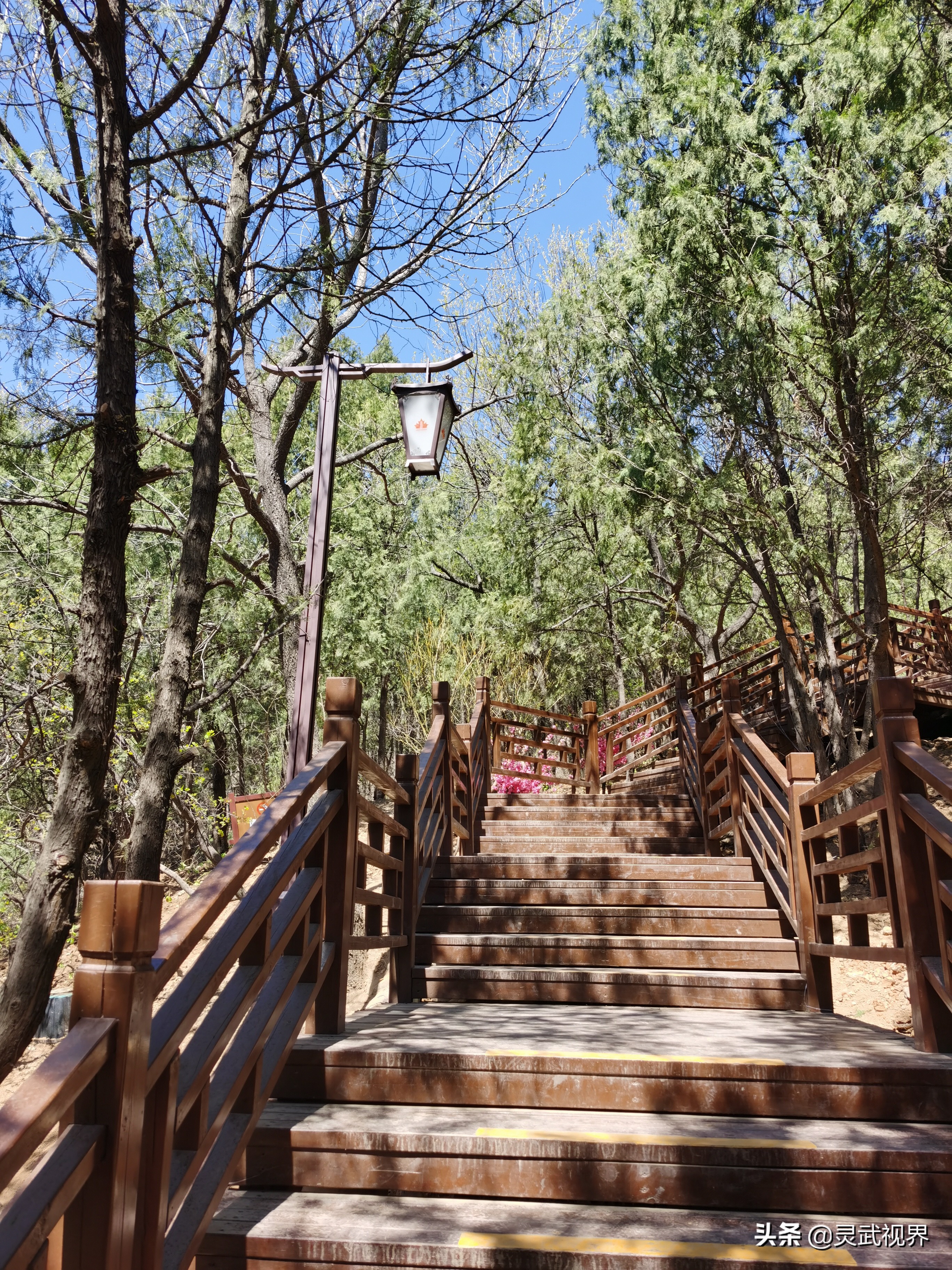 带你看看不一样的装饰,带你看看不一样的家