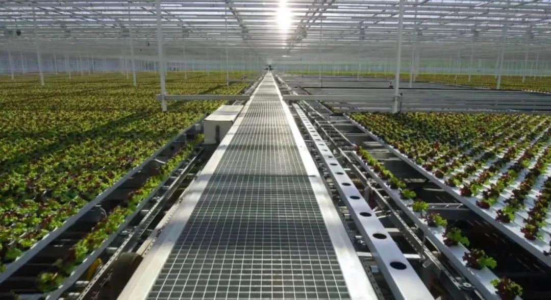 豆瓣2.5分神作,豆瓣9.5分的神作不该如此小众