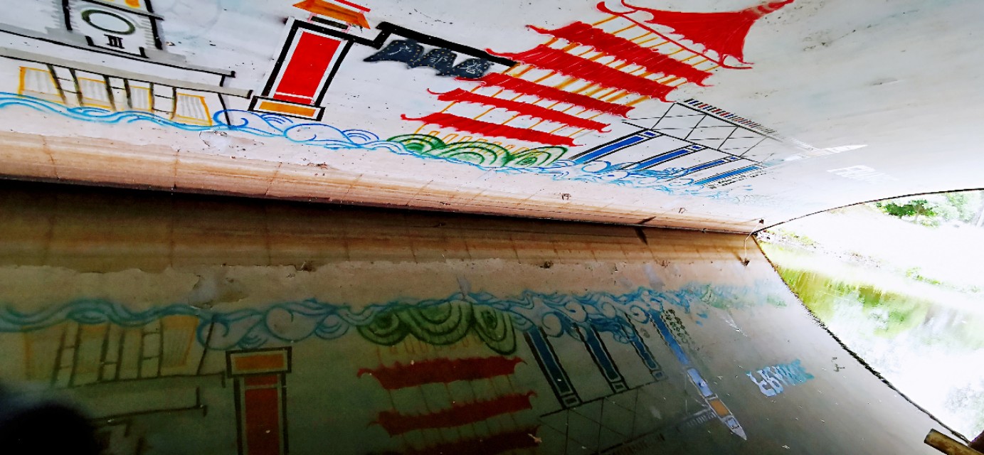 后官湖湿地公园环游,后官湖湿地公园游后感