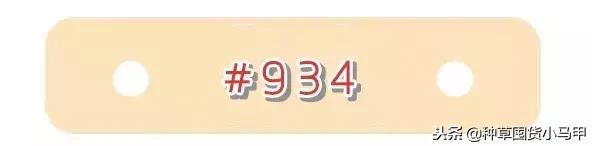 名创优品是骗子平台吗,名创优品有没有假的