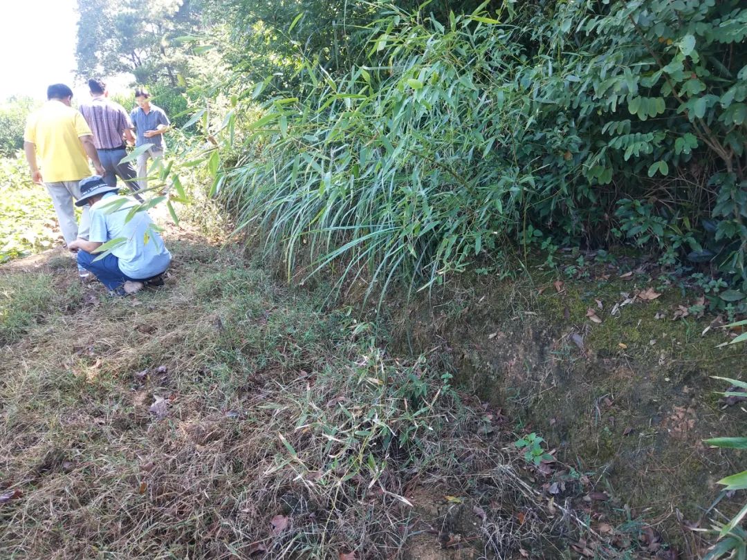 洮阳古城在哪里,洮阳城遗址