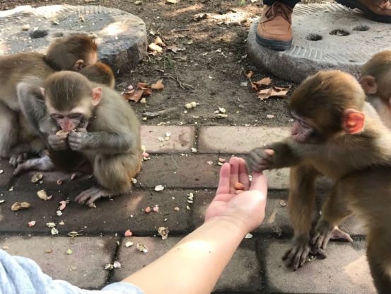 温泉亲子游济南哪里好玩,济南景点攻略夏天亲子乐园