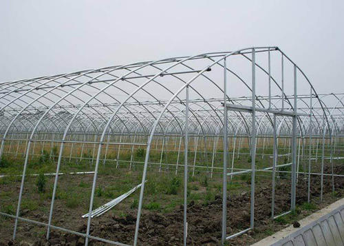 永州专业温室钢架大棚造价,广东蓝莓钢架大棚造价多少钱一平