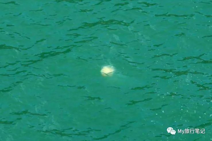 枸杞岛九月之旅 (一生必去的枸杞岛)