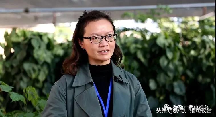 云南弥勒农产品直播卖货,弥勒农产品直播卖货