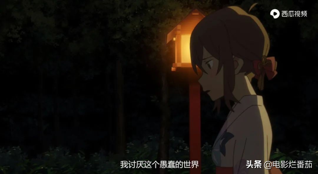 这部温情的撸猫片，让我哭得溃不成军，这是全世界猫*党**的胜利