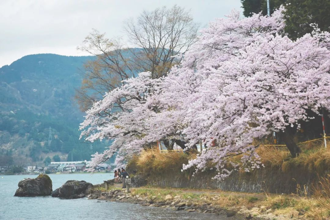 大阪攻略自由行,看惯了千篇一律的高楼大厦