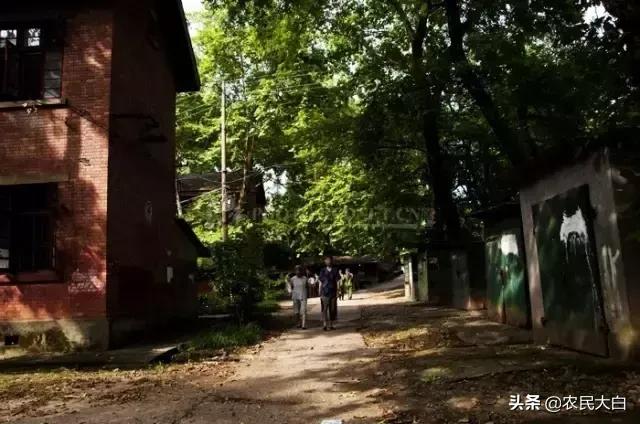 春节特辑：给过年回家的朋友看看《关于株洲331的回忆》