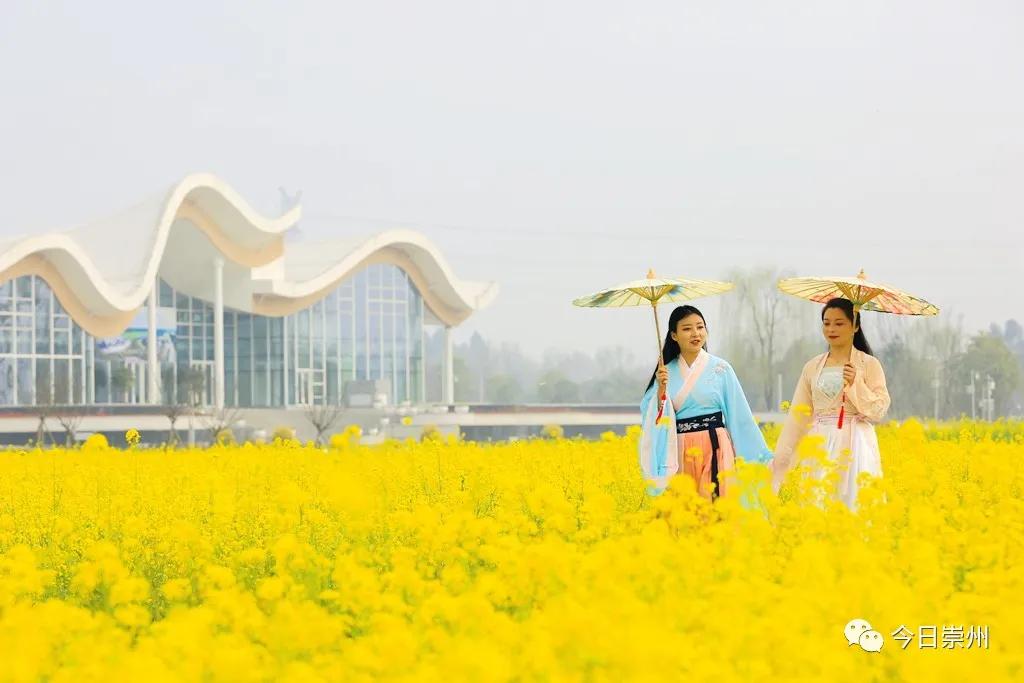 湿地公园天府国际慢城,天府国际慢城印象