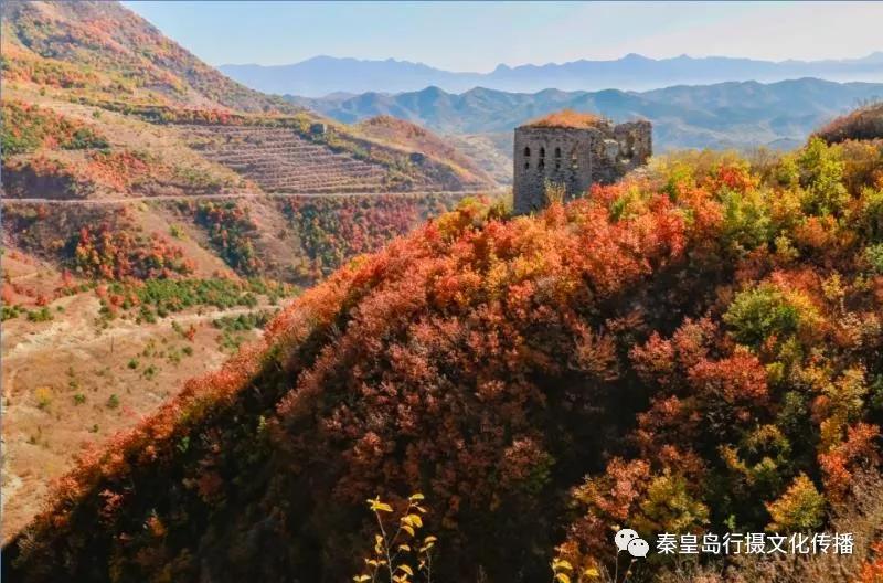 秦皇岛秋天美景,秦皇岛秋天落日和晚风