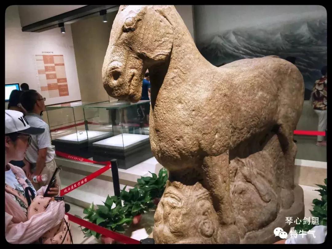 赤金走龙陕西历史博物馆,陕西历史博物馆抢票攻略