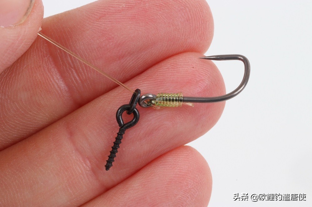 话说欧鲤钓最新消息,话说欧鲤钓鱼完整版