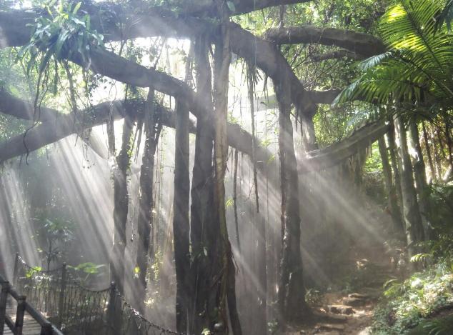 青青世界深圳好玩吗,深圳青青世界要门票吗
