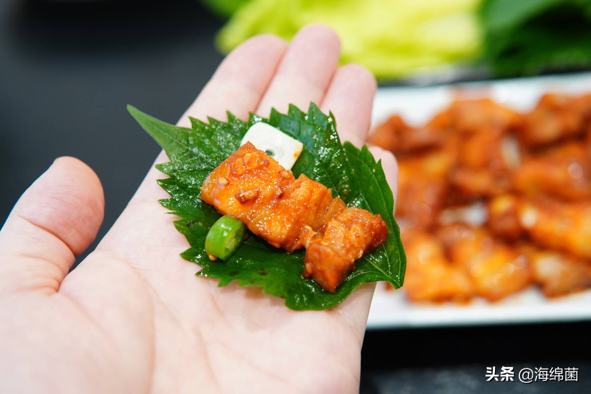 bolali博拉利多功能蒸汽料理锅,蒸汽桑拿锅测评