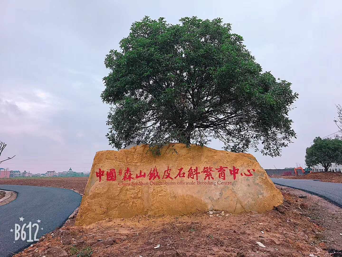 森宇集团森山小镇,森宇和森山