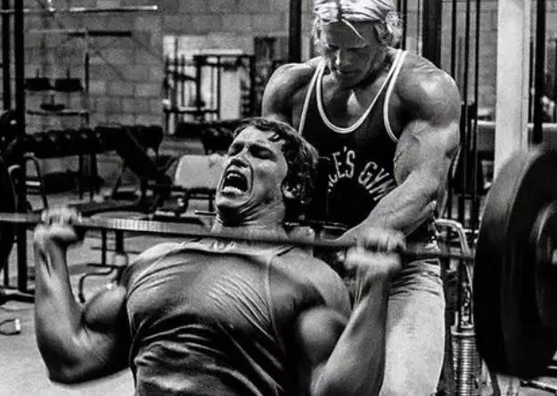 肌醇磷酸综述,肌醇磷酸酯