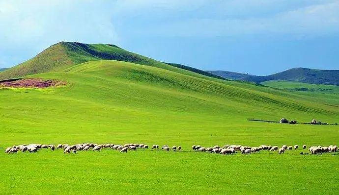 突然想去新疆旅游,突然好想去呼伦贝尔