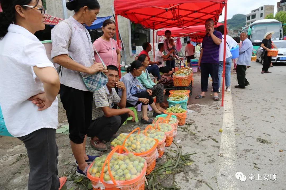 小李子为什么这么强,小李子大产业视频