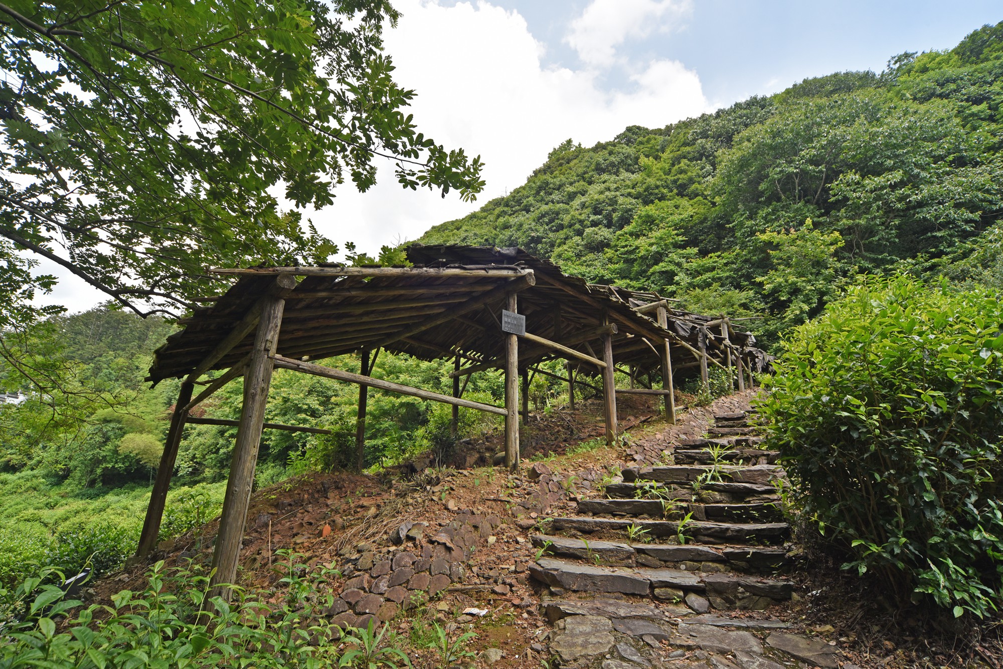 景德镇近代瓷器发展,千年瓷都景德镇有哪些瓷器