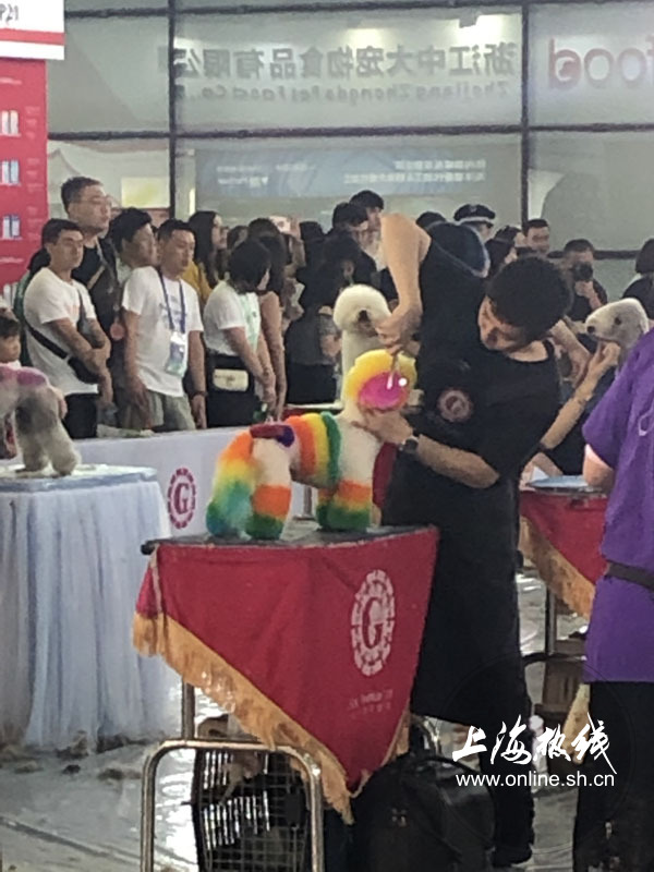 亚洲宠物展2022直播,亚洲宠物展会直播