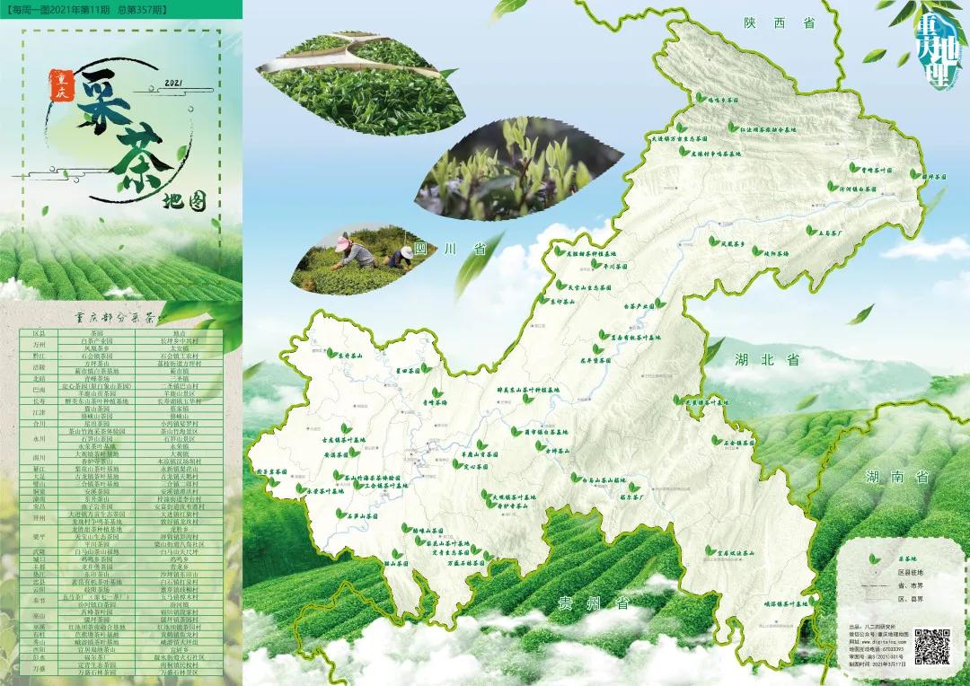 明前茶重庆,重庆高山明前茶