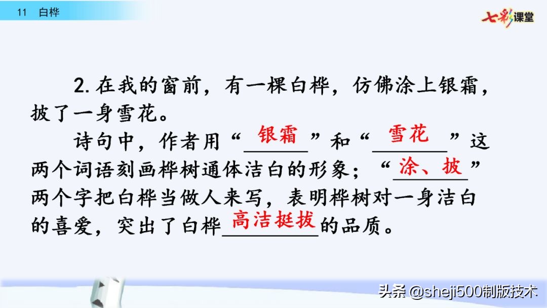 语文教科书四年级下册11课白桦,四年级语文书下册白桦讲解及预习