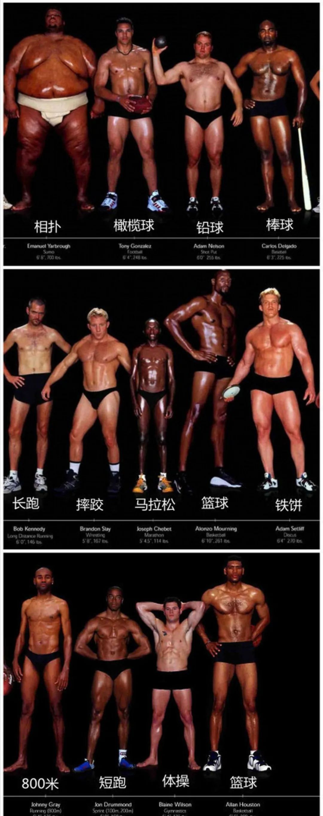 奥运会运动员身材排名,奥运健儿全体合照图