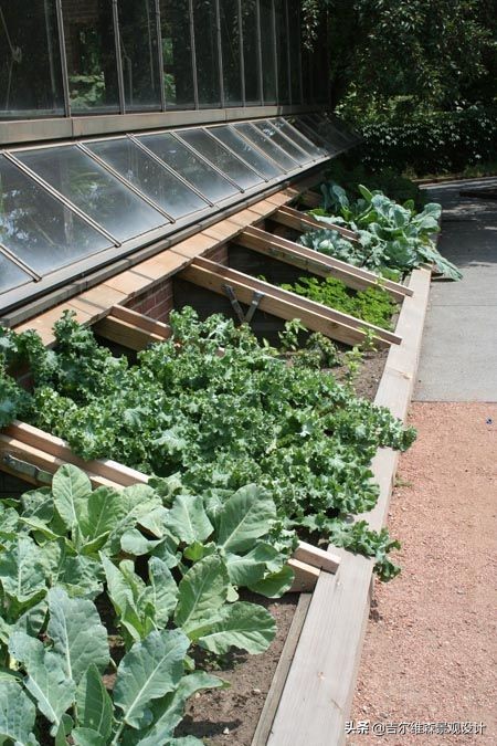 园林绿化怎么做,小型庭院温室制作过程