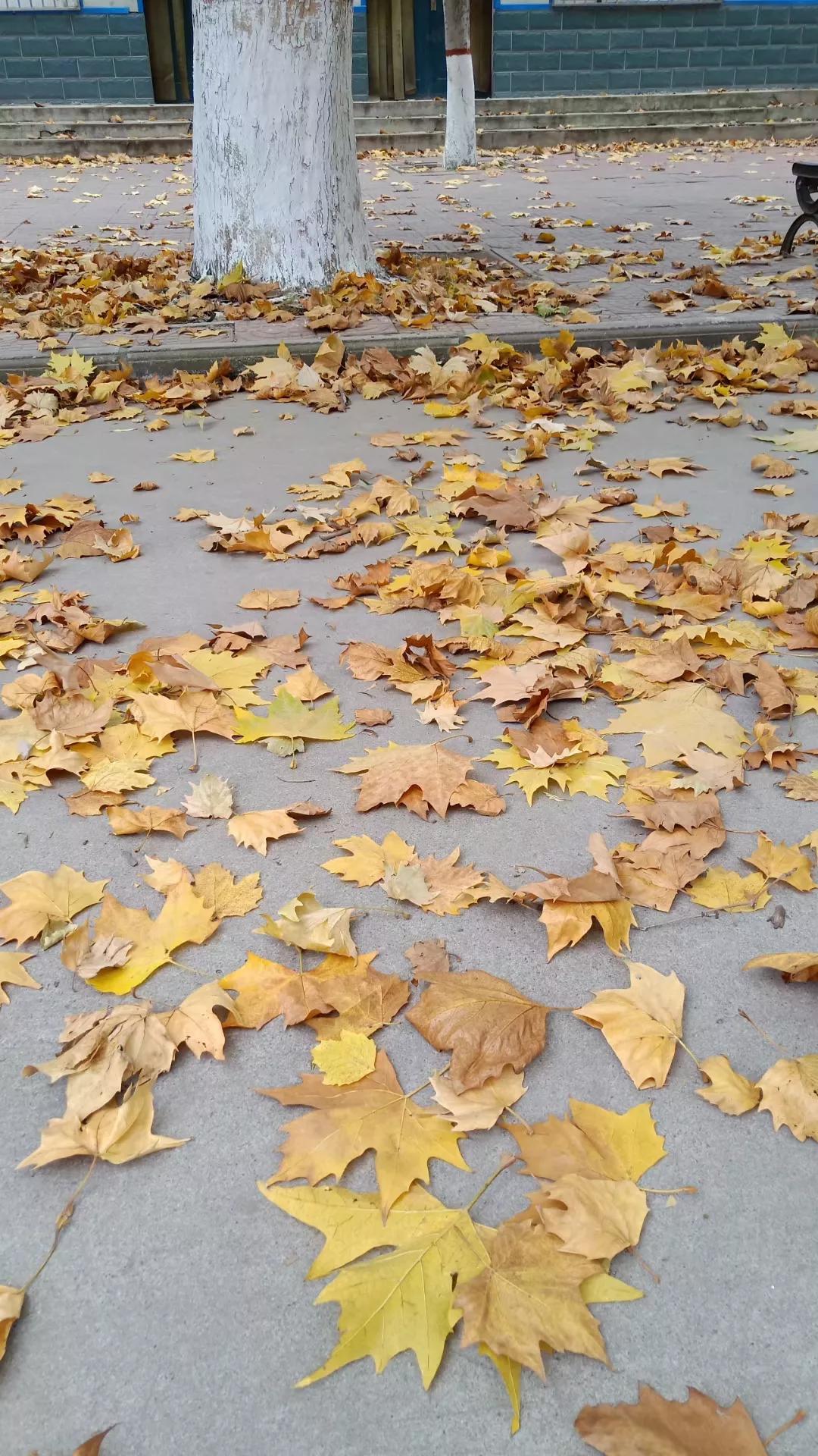 农村建房到底值不值,老家盖房值不值得