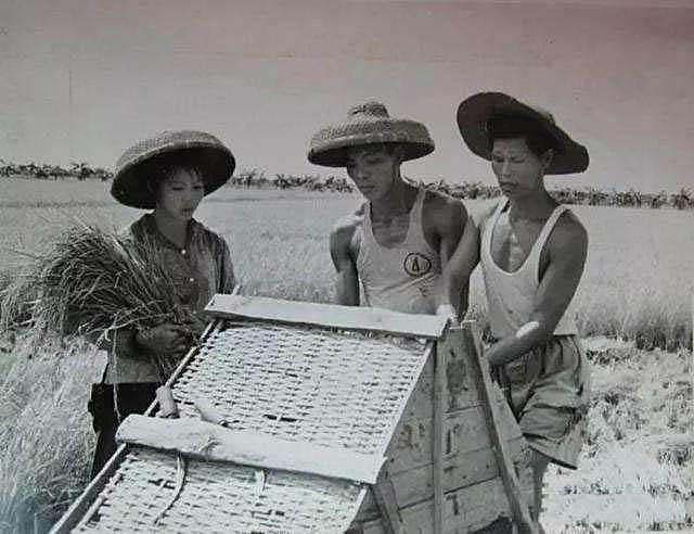 重庆29岁小伙娶53岁老妻,19岁女知青下乡嫁给农村小伙子