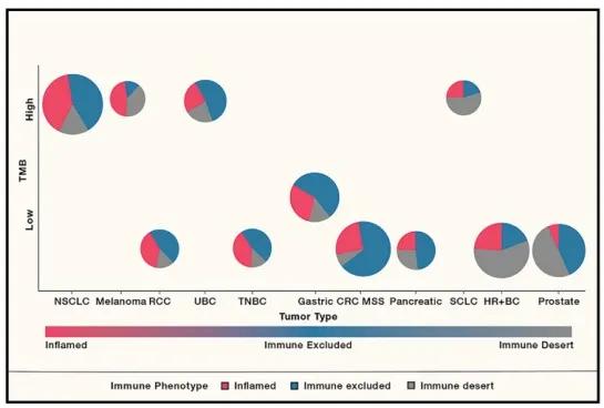 肿瘤免疫治疗的最新突破,肿瘤免疫治疗的适应症和禁忌症
