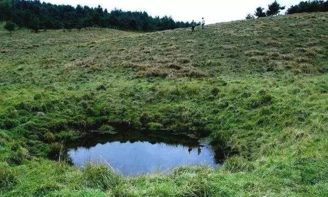 放假了，就去旬阳羊山吸氧、养心，洋洋自得拍“抖音”吧！