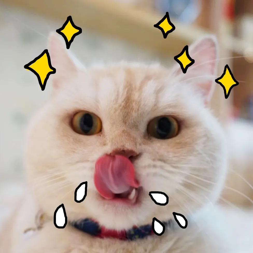 过年嗑瓜子太多上火了咋办,过年嗑瓜子嘴巴麻怎么办