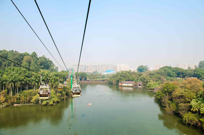 广州长隆野生动物世界旅游攻略,长隆野生动物世界攻略2-3天广州游