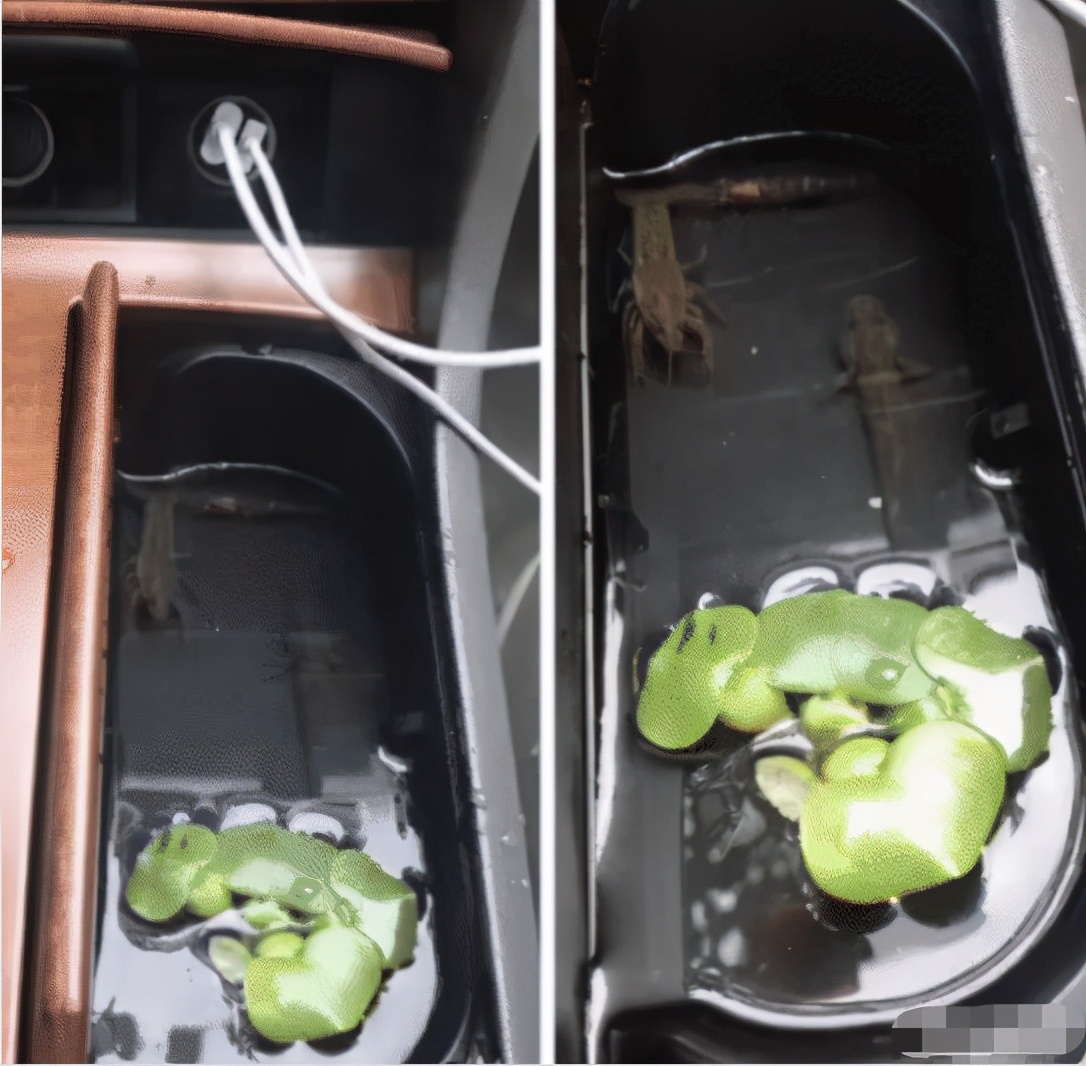 路由器放电池会使信号变强,路由器上绑电池信号好真的假的