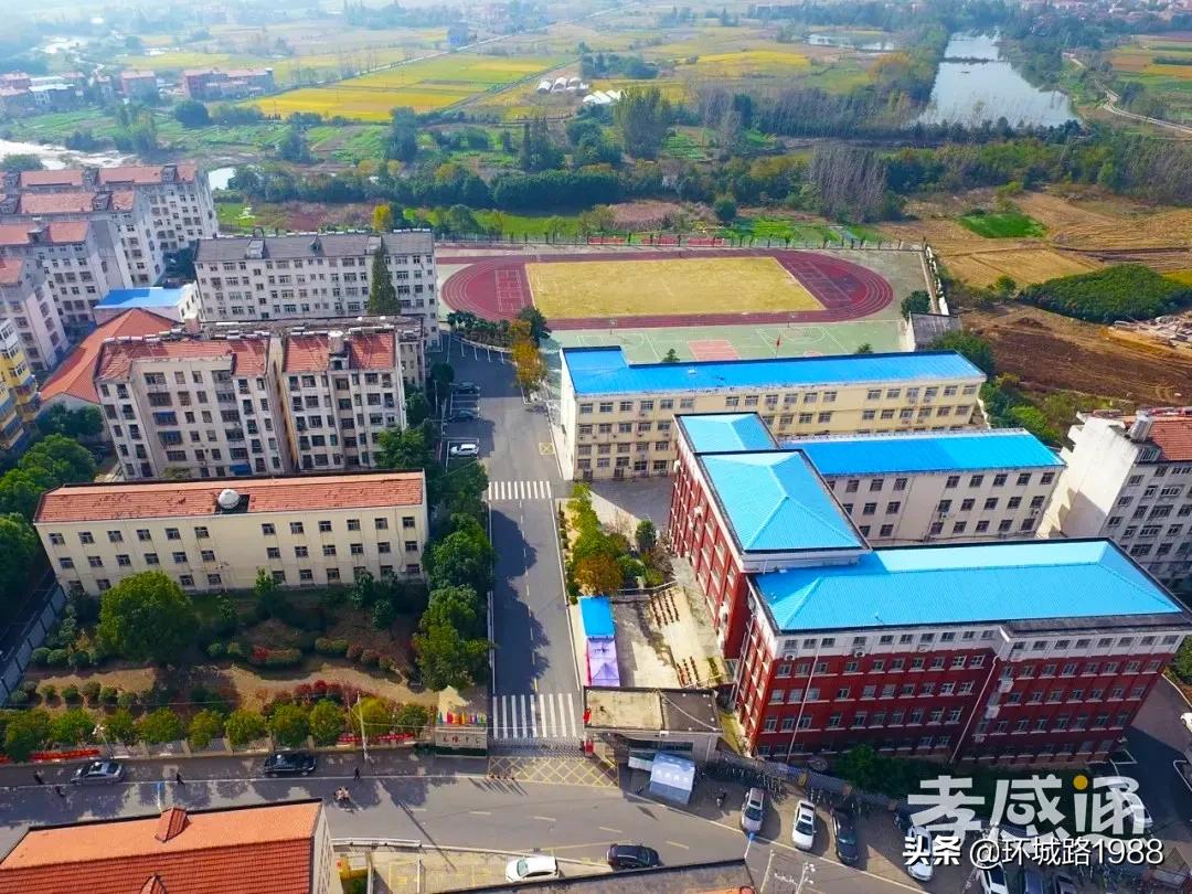 未来可期！向你展现不一样的毛陈