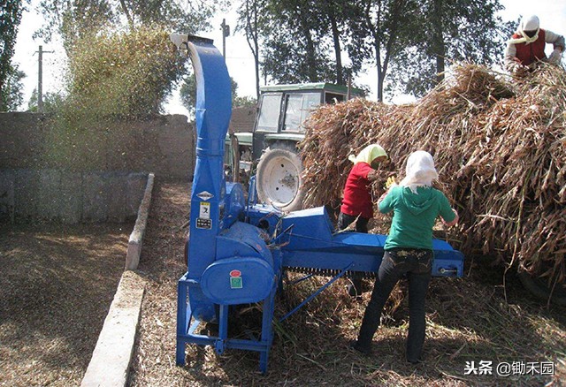 农民把玉米芯变废为宝,农作物秸秆就能变废为宝