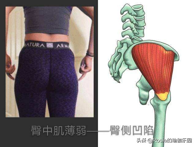 杨幂同款扁平臀,杨幂假宽胯