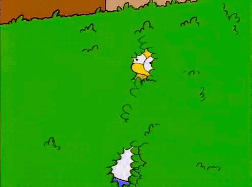 浣涚郴鐞冭糠,鏉犵簿鐞冭糠